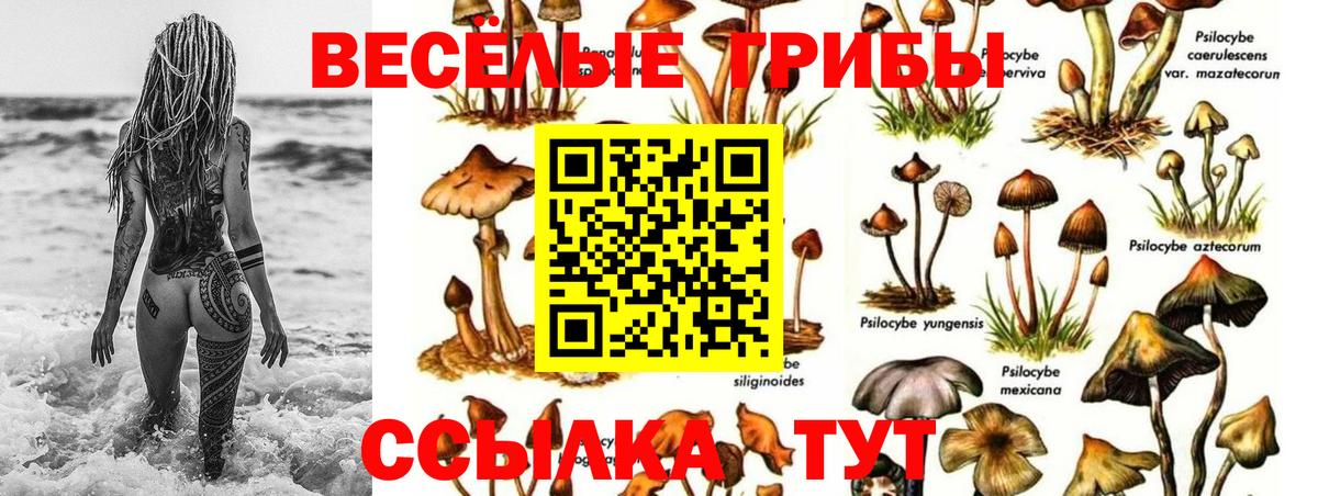 Галлюциногенные грибы ЛСД  Галлюциногенные грибы MAGIC MUSHROOMS  Гурьевск  Вход с VPN 